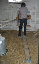 Jennifer in Chicken Coop
