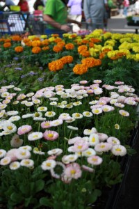 Charleston Farmers Market detail